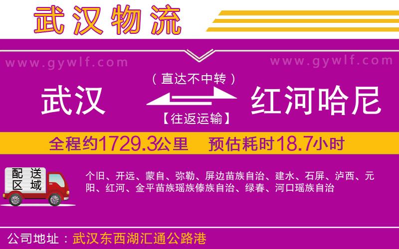 武漢到紅河哈尼族彝族自治州物流公司
