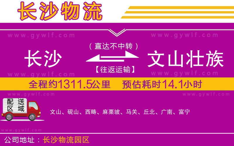 長沙到文山壯族苗族自治州物流公司