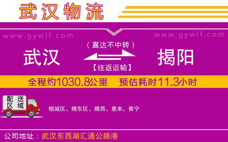 武漢到揭陽物流公司