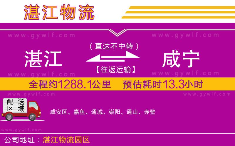 湛江到咸寧物流公司