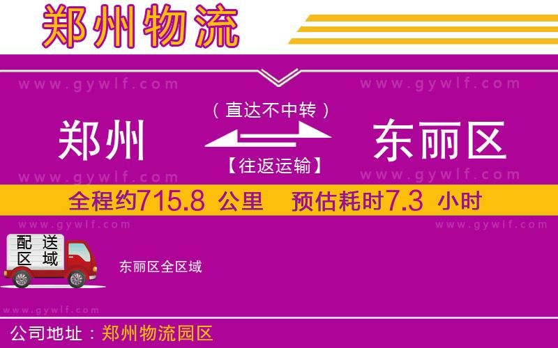 鄭州到東麗區(qū)物流公司