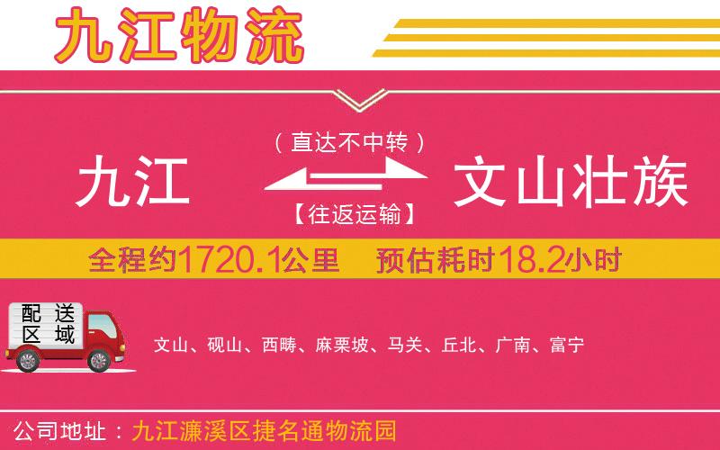 九江到文山壯族苗族自治州物流公司