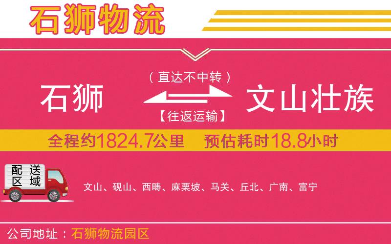 石獅到文山壯族苗族自治州物流公司