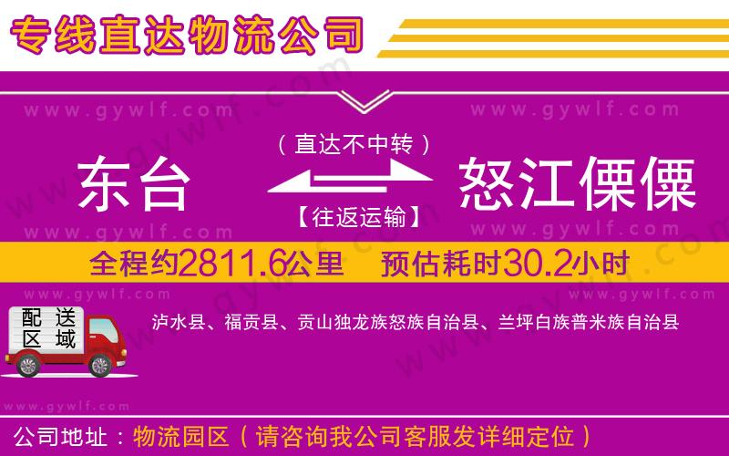 東臺(tái)到怒江傈僳族自治州物流公司