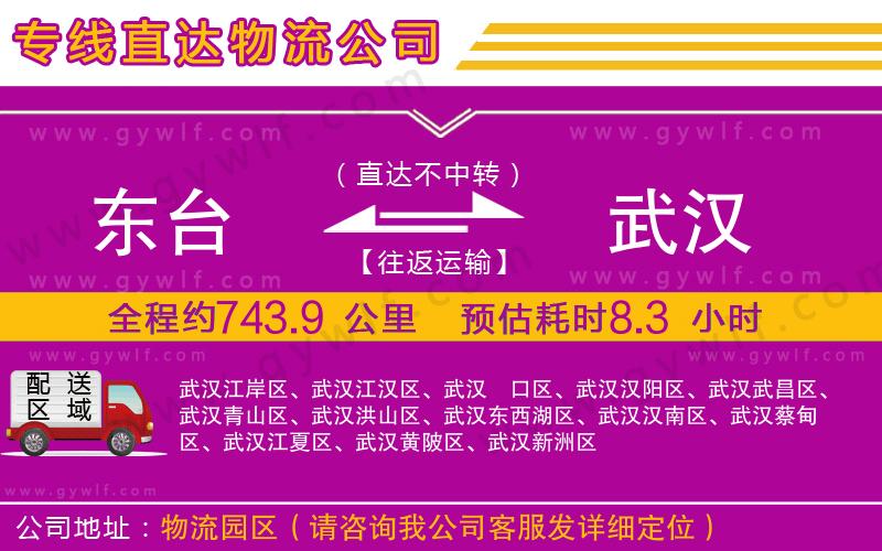 東臺(tái)到武漢物流公司