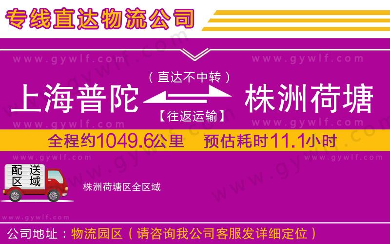 上海普陀區(qū)到株洲荷塘區(qū)物流公司