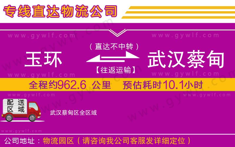 玉環(huán)到武漢蔡甸區(qū)物流公司