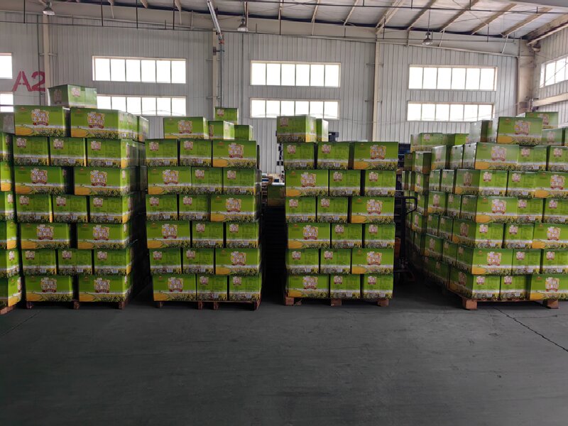 佛山到永寧貨運(yùn)公司