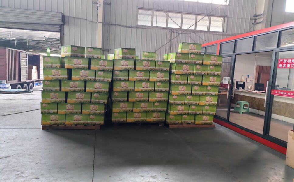 北京到皮山物流專線