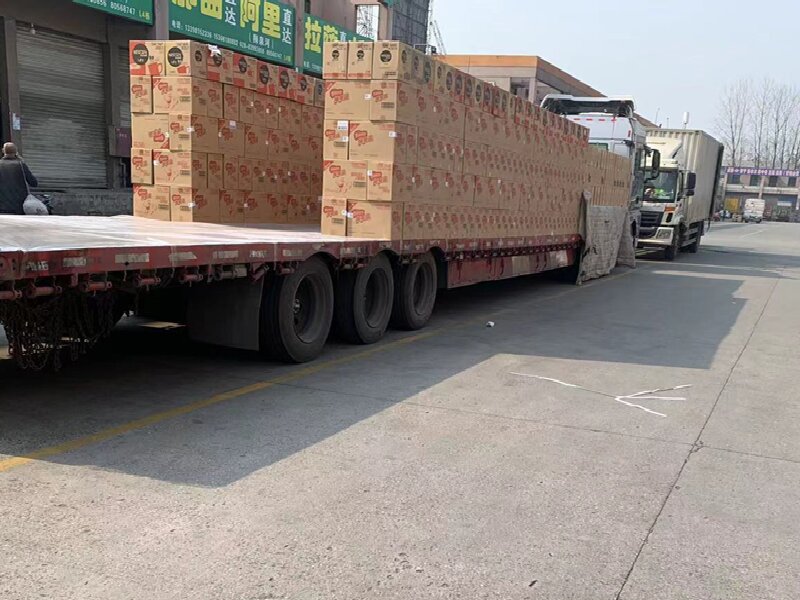 佛山到托里貨運公司